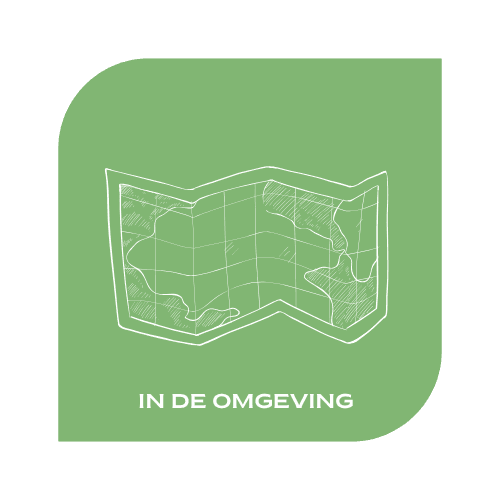 in de omgeving
