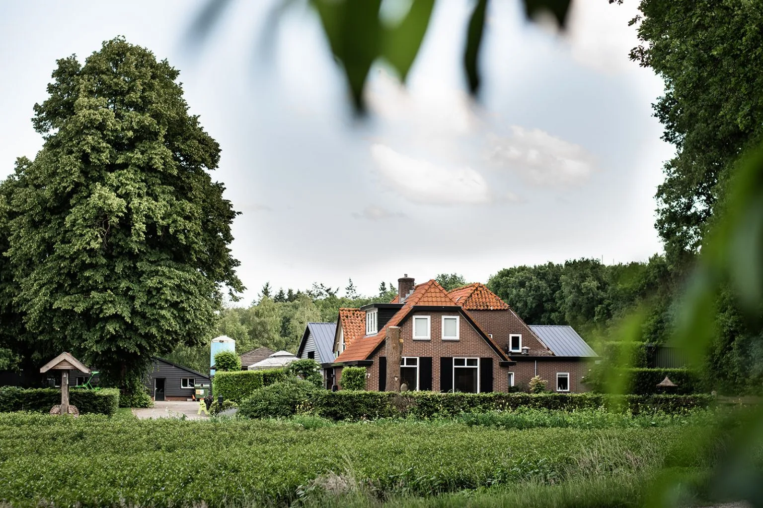 Kampeerboerderij meerveld